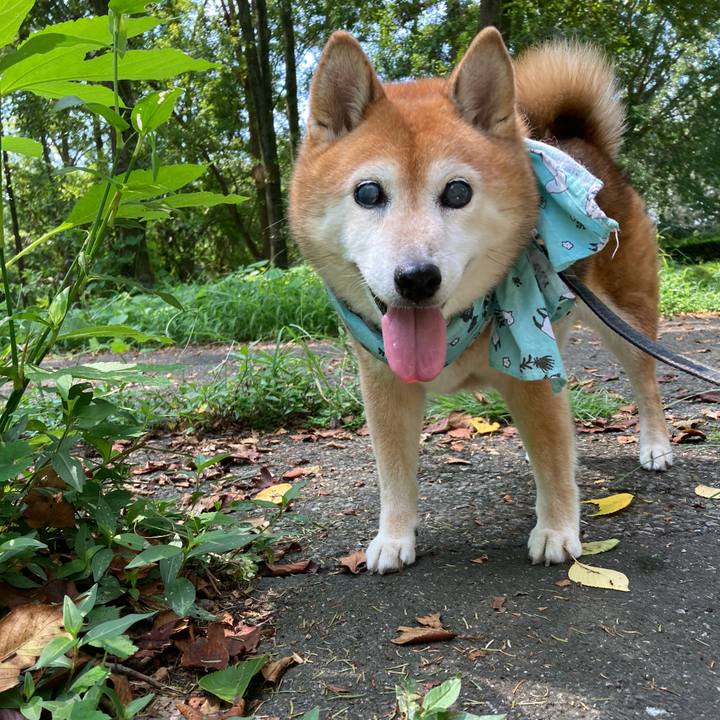 360b5fbd 4dbf 4285 8962 a003c5275ed7 1724042717534