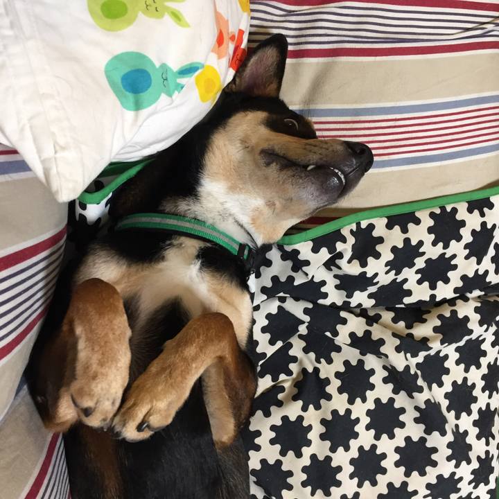 360b98b5 6333 43d1 bfae 156c7f28b6e2 1539316751013