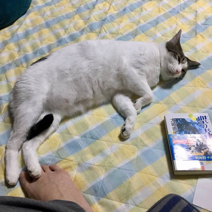 360ba32b 14bd 46bd b1a3 517c2efcb3da 1529854440482