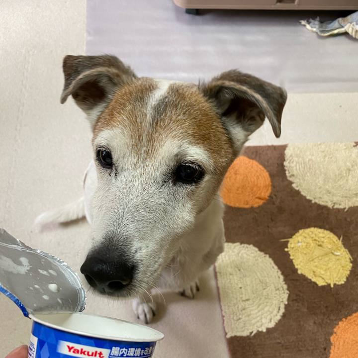 360bc9a1 7860 44f2 8d0d a8779a15900e 1609637093755