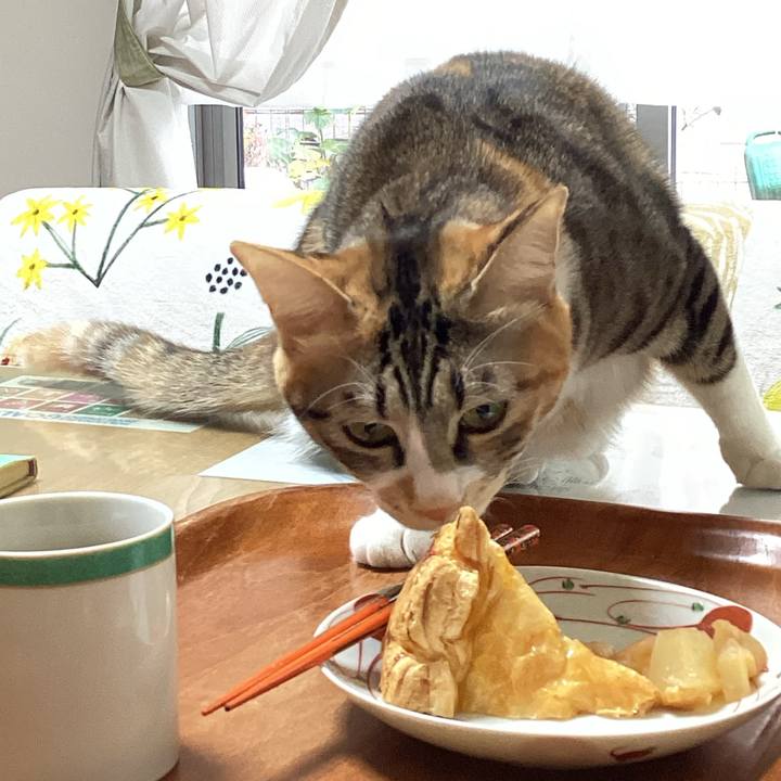 360be37a f1ec 494e 9d19 1a0556694d97 1670730765119