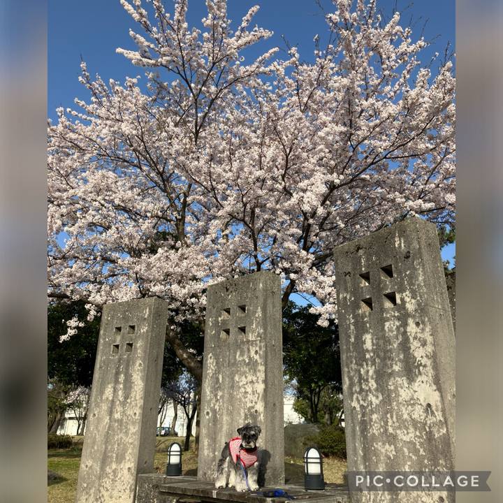 360bebb9 f9c0 48b5 ab52 570c467a71aa 1713186217924