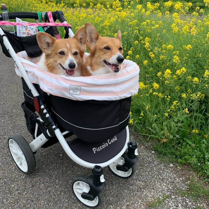 360bf608 c920 4d48 8f67 5c7307d0c262 1712894002687