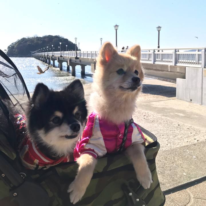 360bf938 af20 4297 81a1 b48f9a5d1268 1576593330533