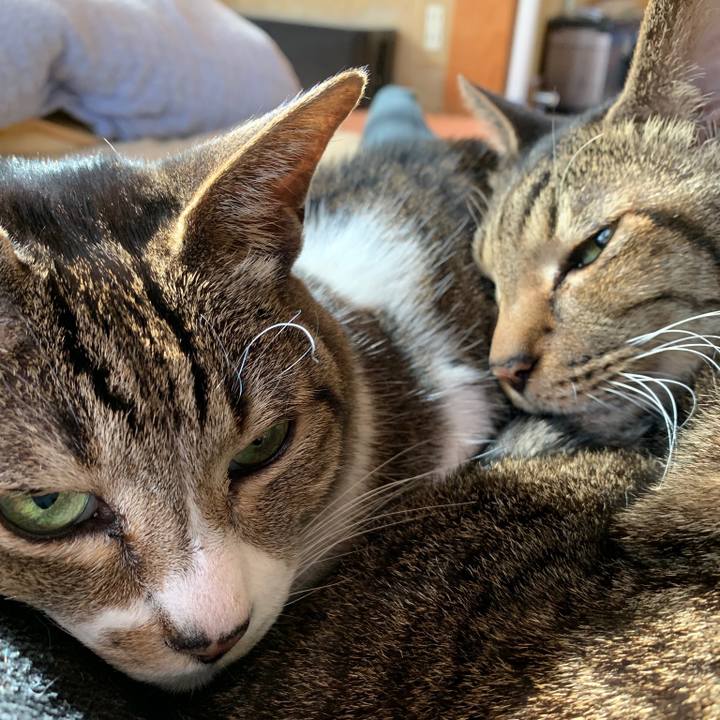 360c8878 0b54 4b7d 9c54 845520c29390 1578793015229