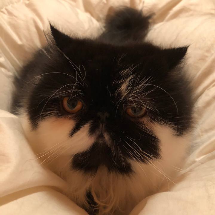 360cac1f 8164 497c a152 5d55792f48c9 1541169807800