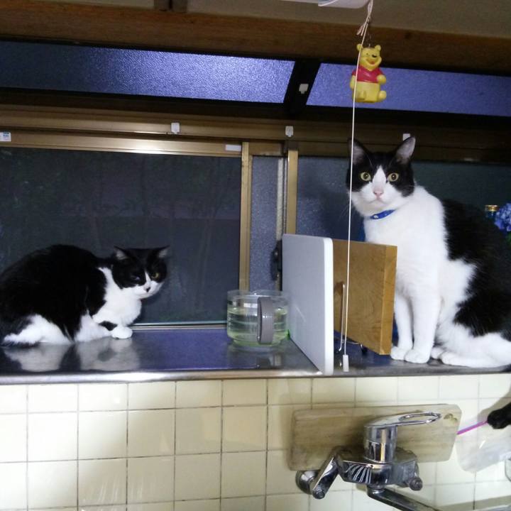 360cd21a a6f9 4c63 b7e5 926f95af346c 1527968002563