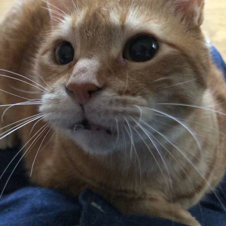 360cf7e6 f4c5 49f2 91ab 68a143b86b0a 1651657812047