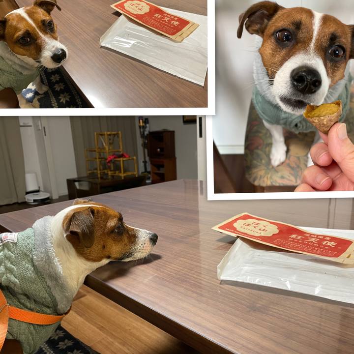 360cfac6 f3d5 4985 83e6 34c49eeb97a3 1641427889978