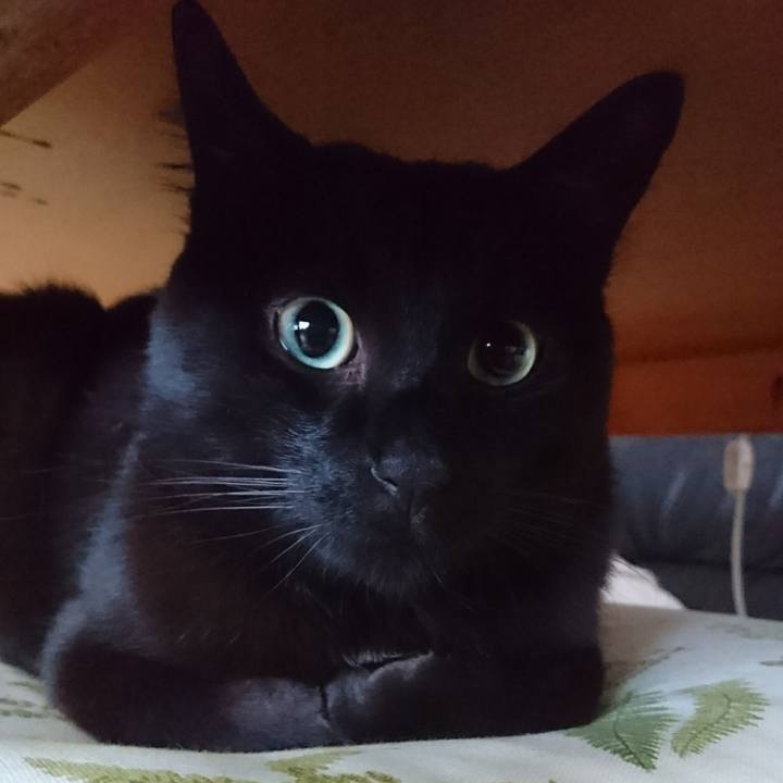 360cfbb9 4285 44cc 8cd2 5b950c527334 1577858773788