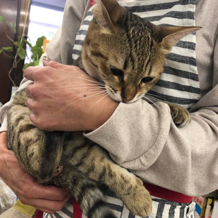 360d0218 b39f 47b7 a2f8 588d3b8c1c26 1611376395353