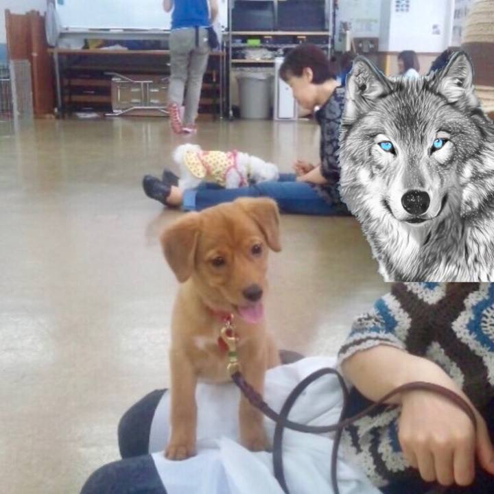 360d08e0 cfeb 48bf a058 62f27dcec120 1516895811261