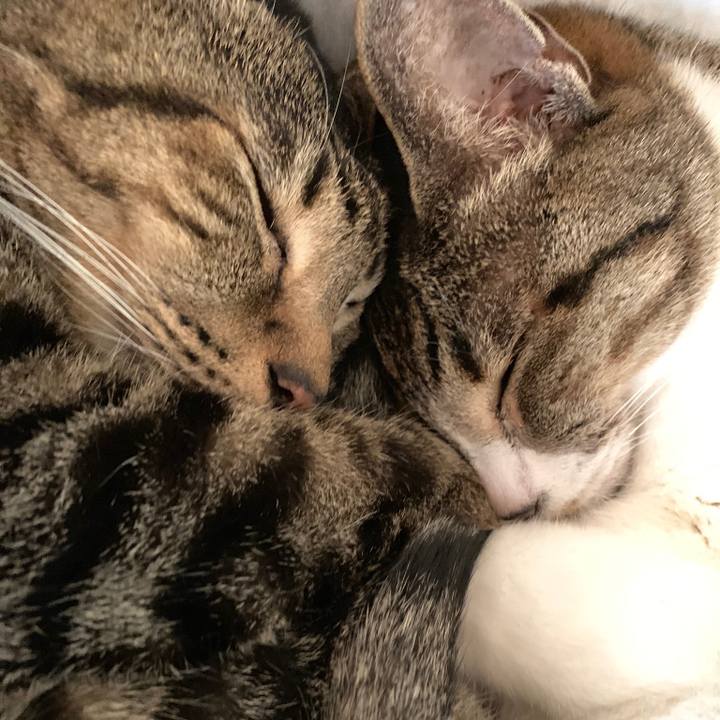 360d0e1d fc9c 4624 b723 d9bf9d598bbc 1563839529296