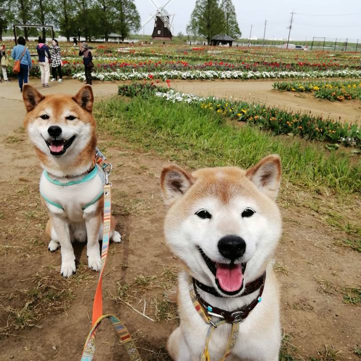 360d1666 ccac 4ec4 a0d9 4bf4ae8ad329 1681461274111