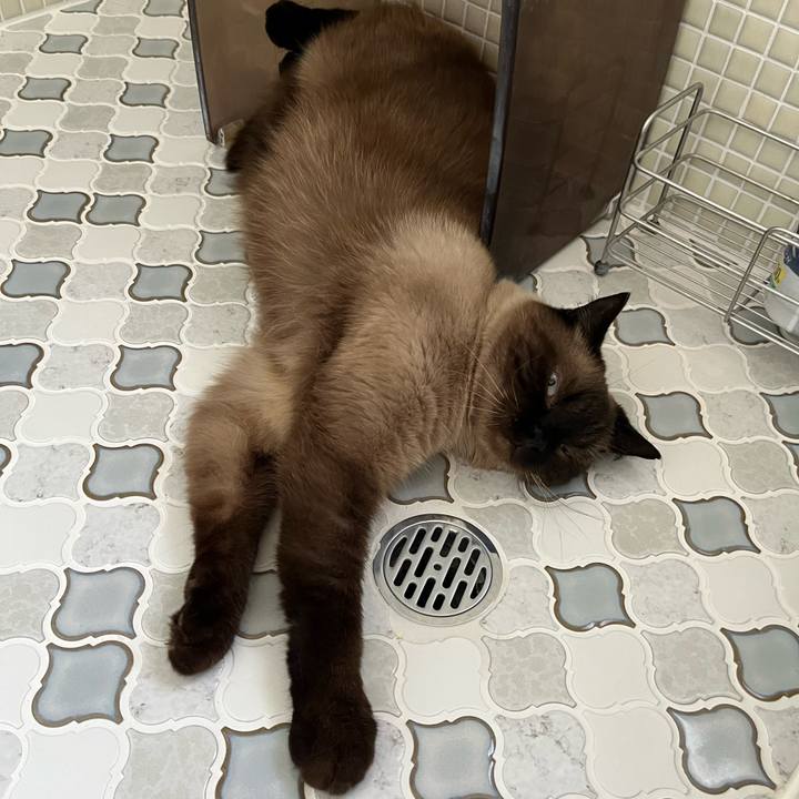 360d1a47 3d1d 4745 b075 f0e21d7d7a31 1723439497753