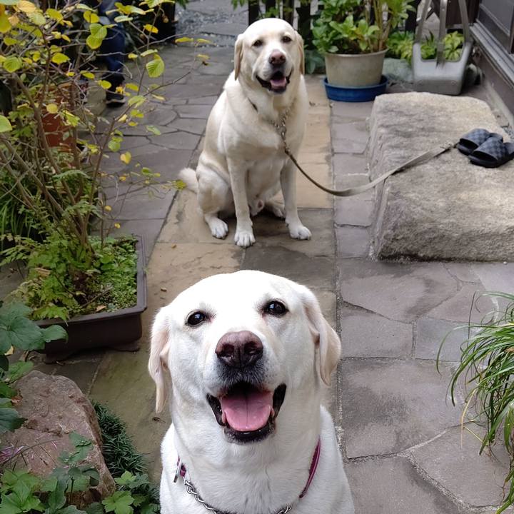 360d31a7 af9c 4565 900d 648a1488b8fe 1603893560575