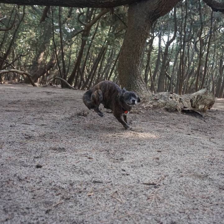 360d357f 9060 477f 9cda bfccb325a756 1552291967565