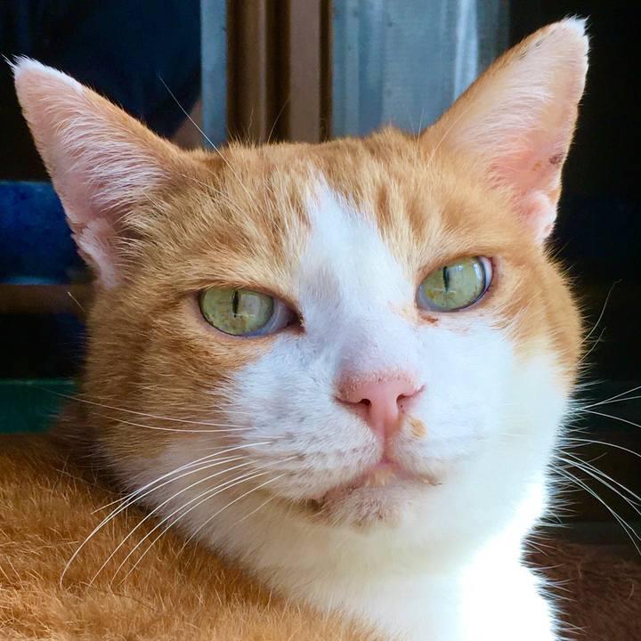 360d5e75 828a 4794 9802 21c2058d5063 1604303062906