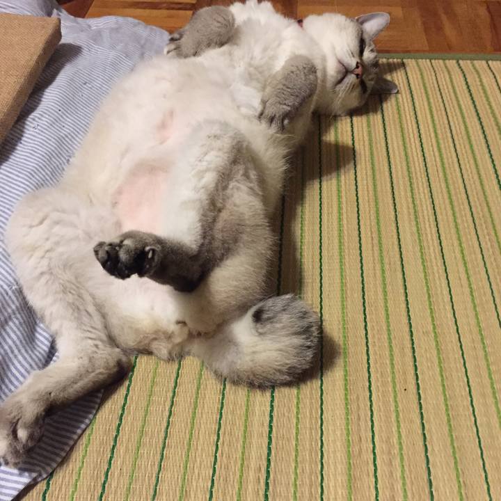 360d6528 756b 4de6 a016 67fa0ef8ae21 1534419163995