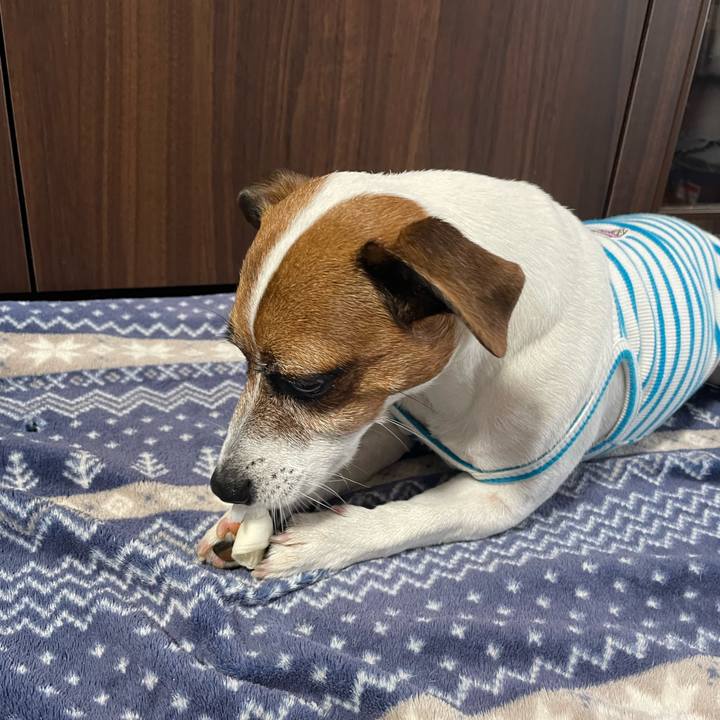 360d65ac 0fb7 43c4 95ed e6047a37327b 1750237909321