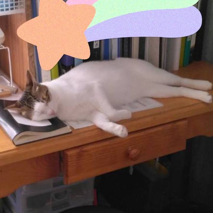 360d8018 d1ce 4f88 a642 b4a99769c7bf 1688543085591