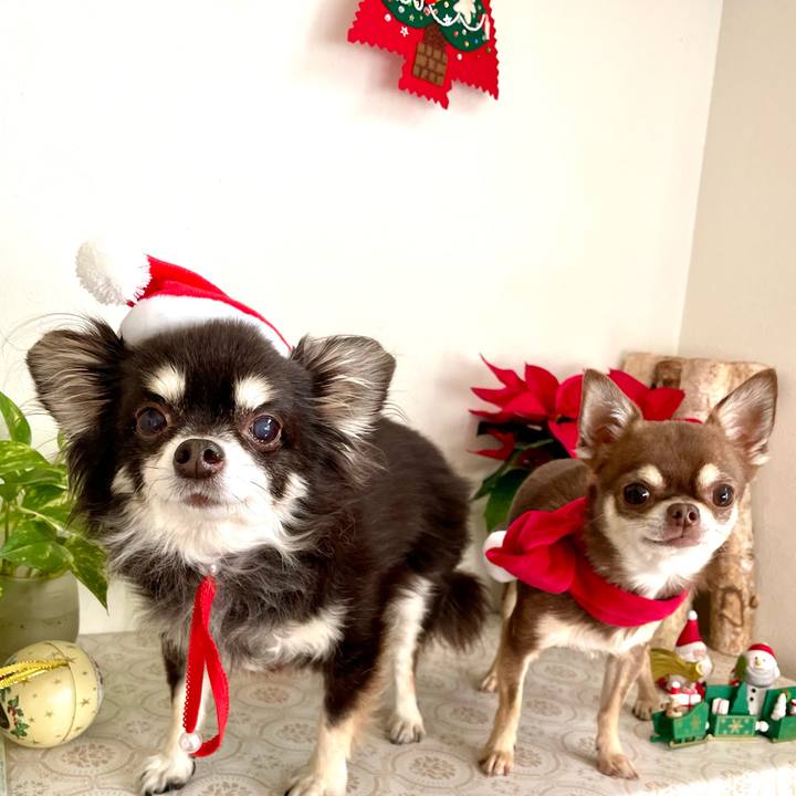 360d88c8 f26b 4782 83a9 59637ed637ab 1671843254749