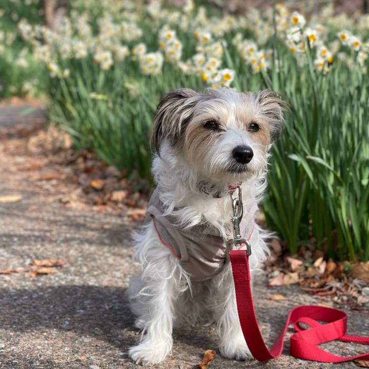 360db4f7 37e7 47f9 8a10 e3b07d454844 1768806523238