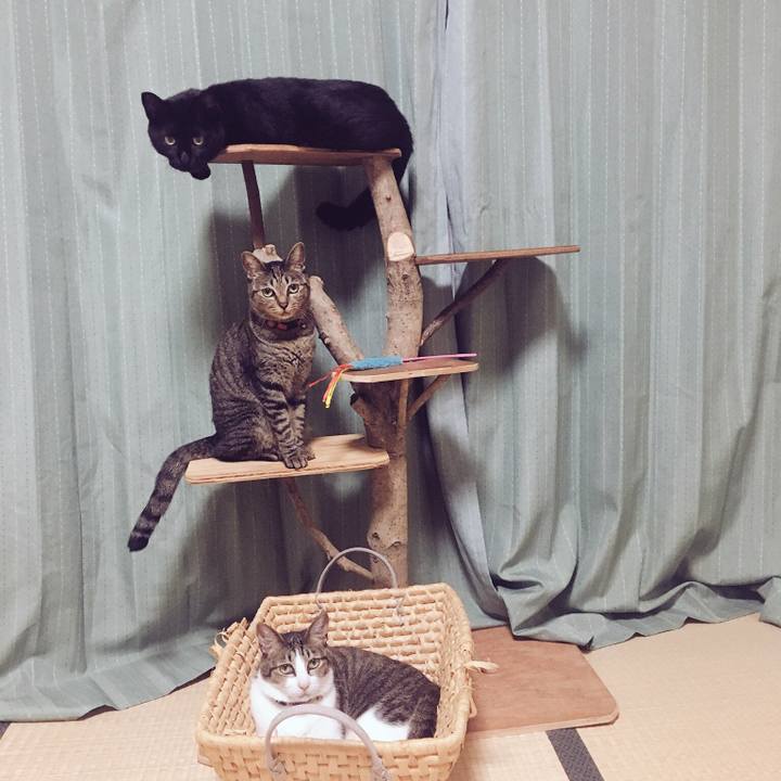 360dc3ac a9d7 48b1 bed6 37e1f453e63c 1535035775052