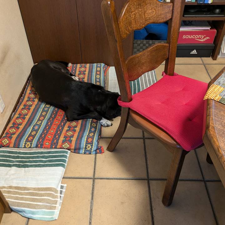 360de9f8 99a7 4f1e 91c0 7f74e8e18909 1719705264342