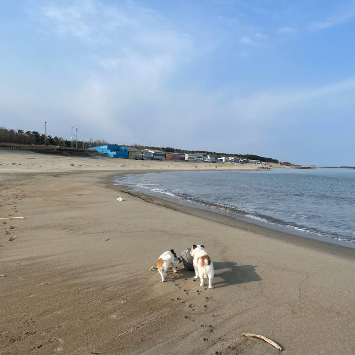 360e3695 881f 40a9 b6d8 e6b820eddf75 1711930700192