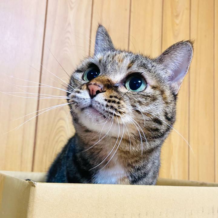 360e6873 d7e5 43e4 b929 10b1c38e8540 1672701282609