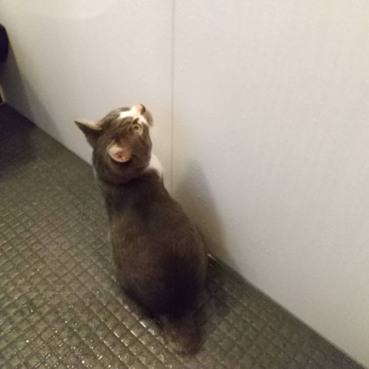 360e7ded 861e 4139 aece c042c1f39465 1604870635504