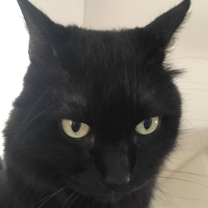 360e8d7d f736 45f7 a269 a9919d96deb7 1565355355650