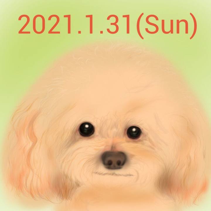 360e91ac 4da5 40e8 9b51 47e0f0cd1207 1612093755377