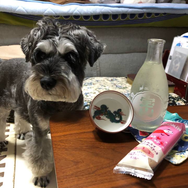 360e9fa8 3c94 4b79 8c88 71bff66e8f19 1662124949690