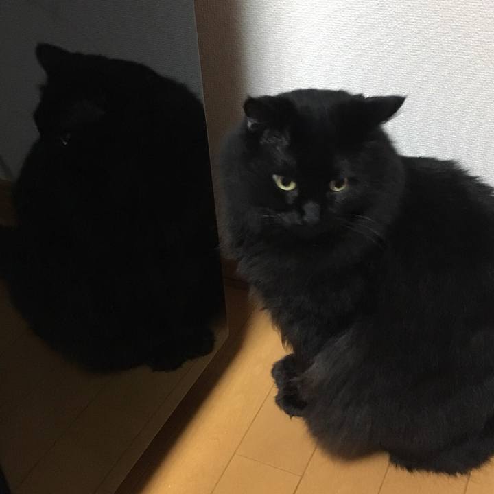 360ef059 0e57 4f8a 892e 7670dc74bc6d 1541588529536