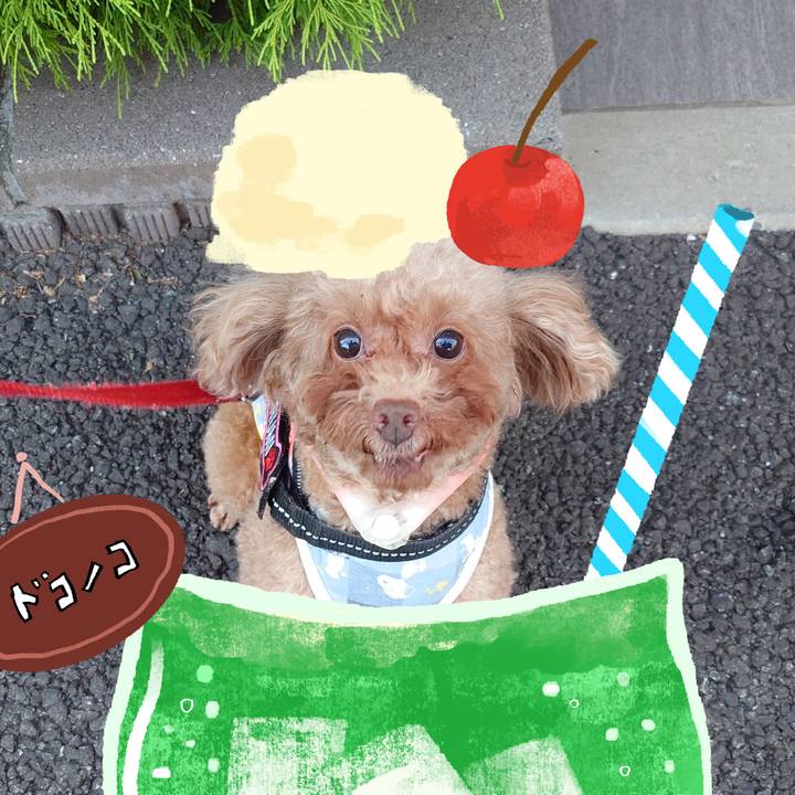 360efae4 4c1a 436c 869a 2ac7bfa50fca 1755435103566