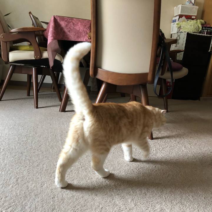 360f1fd3 b41e 4924 adf8 da202ccbd154 1556517971735