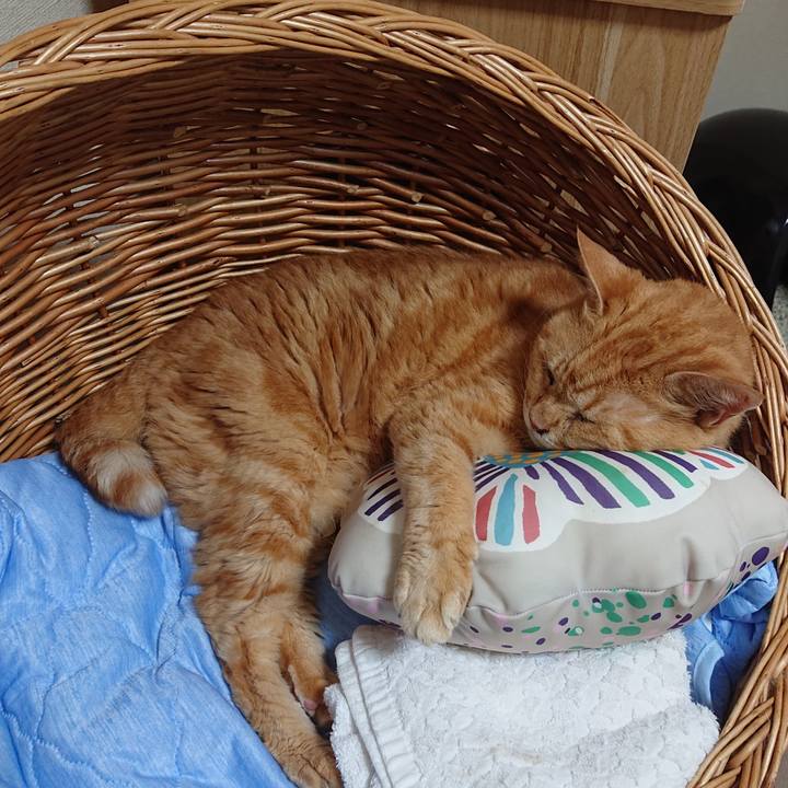 360f2d98 42e9 4935 8ec7 481730d67e8c 1722652465678