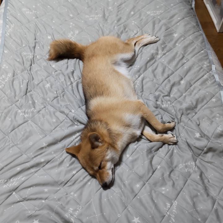 360f4c26 73ea 4bf8 a160 73ef80604651 1630284758896