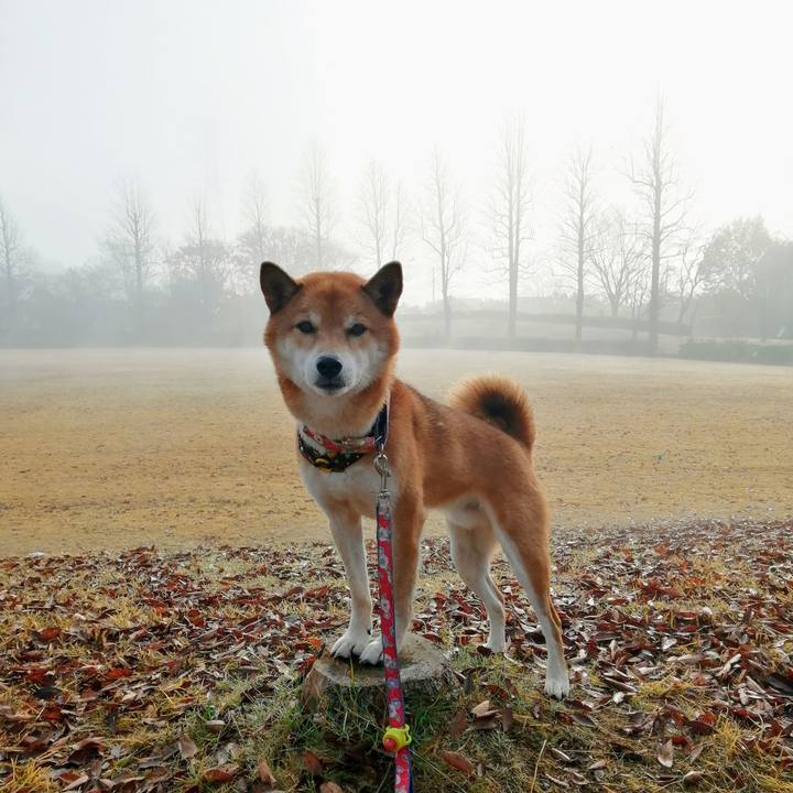 360f4d79 d7c9 48ba 8500 e4c7595b6ff6 1607648737257