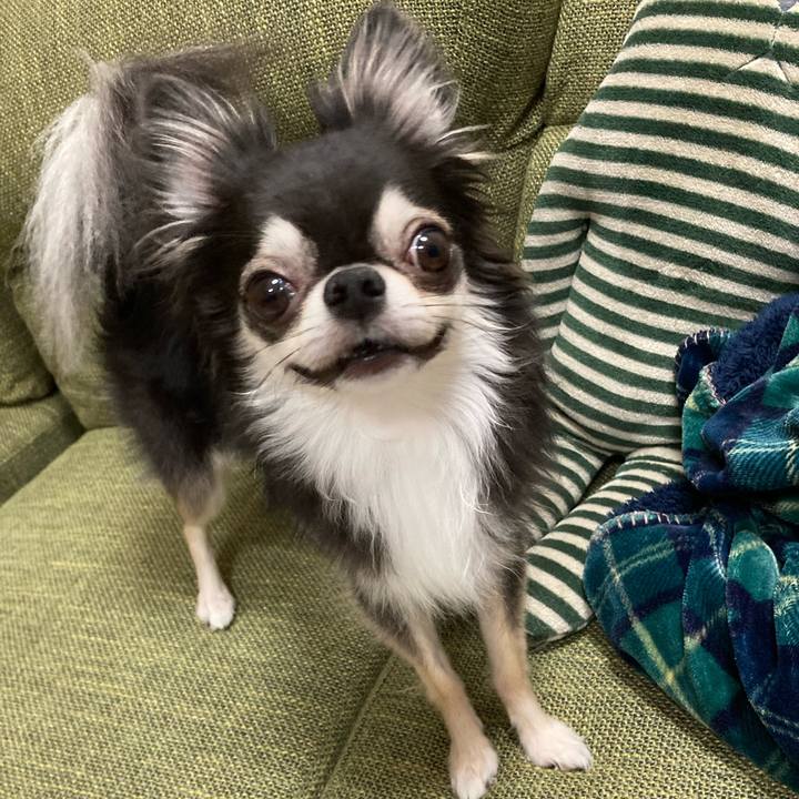 360f761a 5ea8 41b3 af3a 10e4d9122394 1662212829859