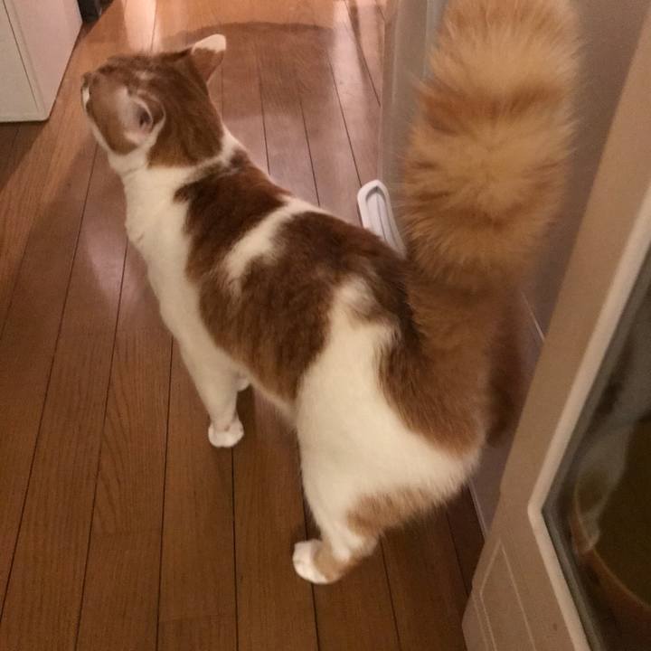 360f8016 ad1d 42cb 9f58 7f9fb4dd2469 1542166682495