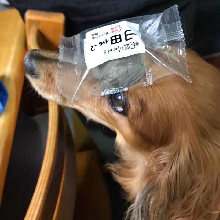 360f9a49 6bba 45bd b834 f2235eb4868d 1579363631531