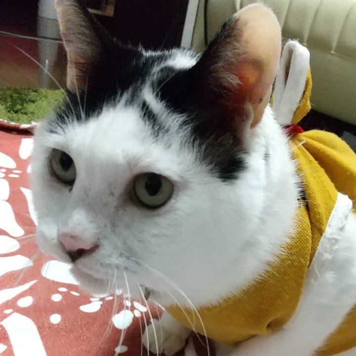 360fbbee cd2f 4317 ad64 64bf7d6b1edb 1638528436778