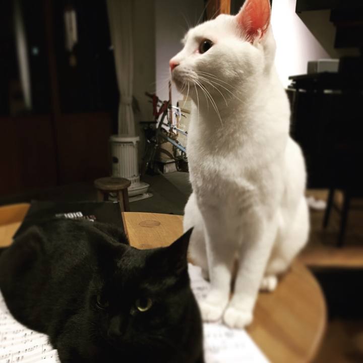 361002b8 bd90 4bc5 b62d a5b67415d472 1514455037278