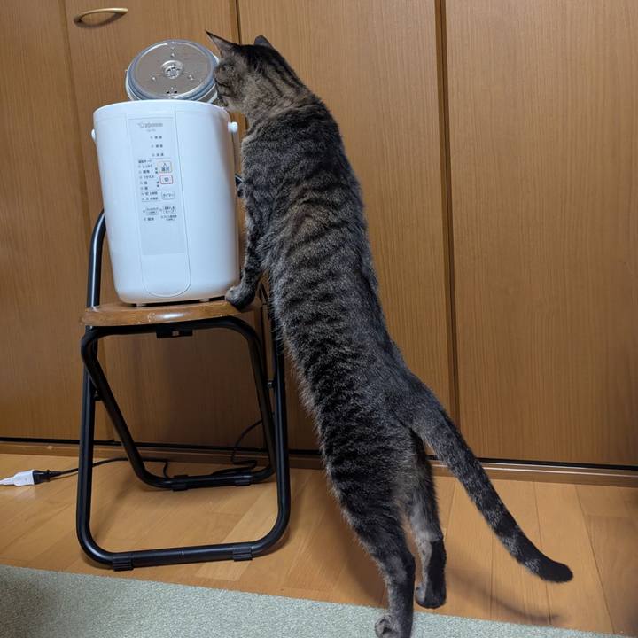 3610345a 2c6e 41e7 b0fa 131e55055994 1768299645462