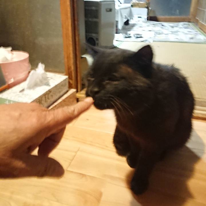 361040d6 1ebb 4b86 b35a 5429e13bb5d4 1621767802672