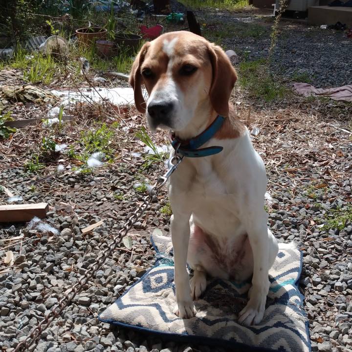 36104b0c 7101 44f3 9534 8e25ddf7fff3 1616995574699