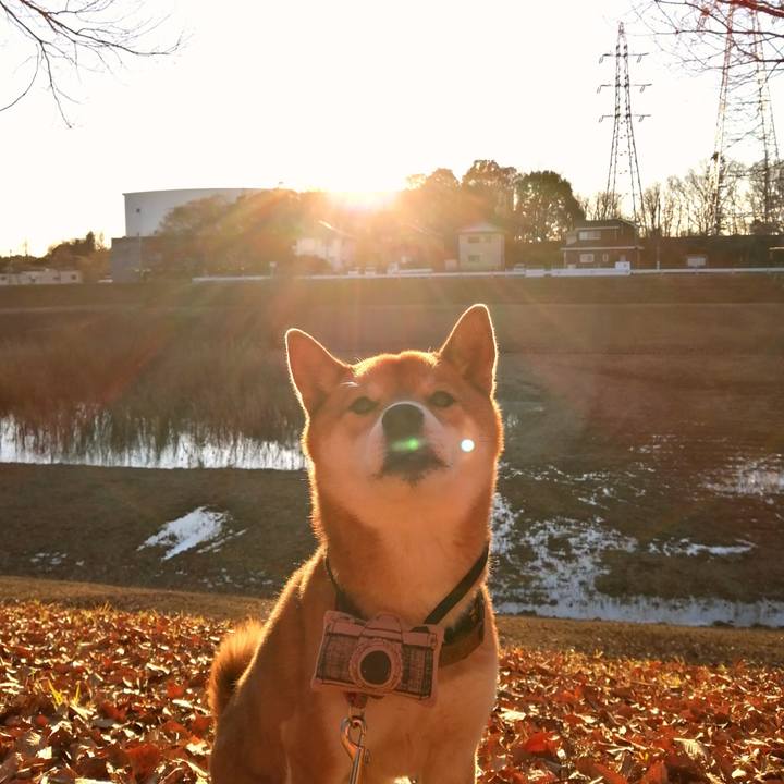 36105f77 ced8 43f8 8584 b02184f87273 1609582226257